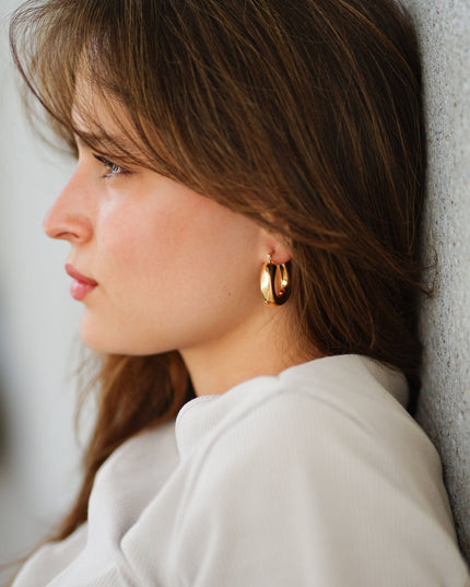 Earrings Nicole - Gold Plated Elegant Earrings-1